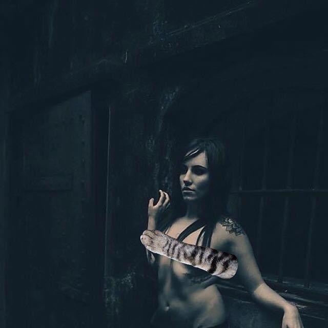 evangitron OnlyFans profile picture