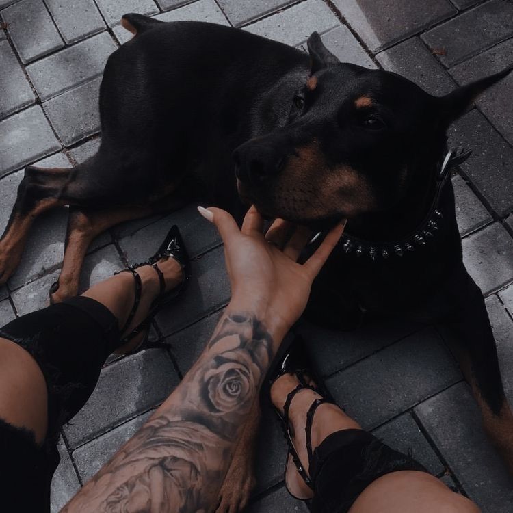 camillajennifer OnlyFans profile picture