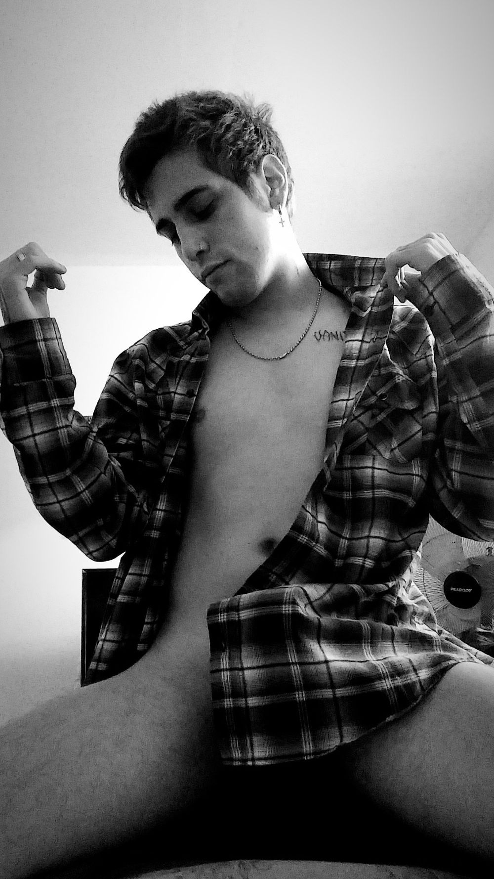 augureybird OnlyFans profile picture