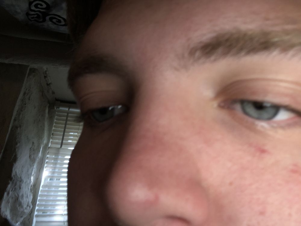 scottslildickbignipsgang OnlyFans profile picture