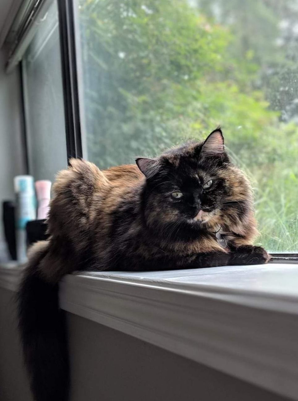 kittenkalliope OnlyFans profile picture