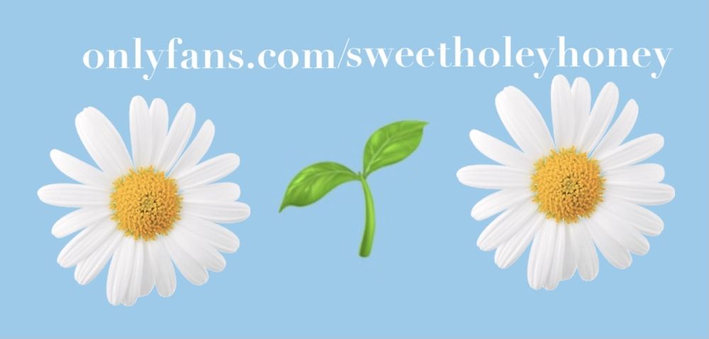 bootyholefairy OnlyFans profile picture