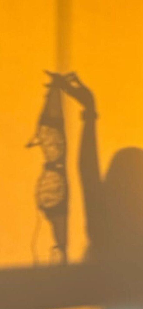 alice07088 OnlyFans profile picture