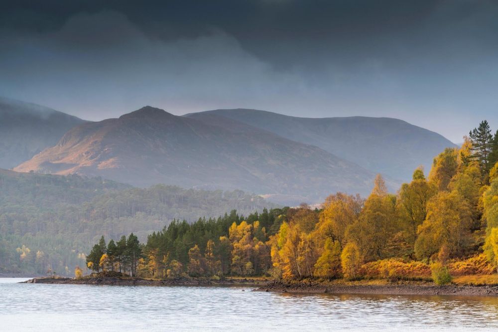 highlandhole OnlyFans profile picture