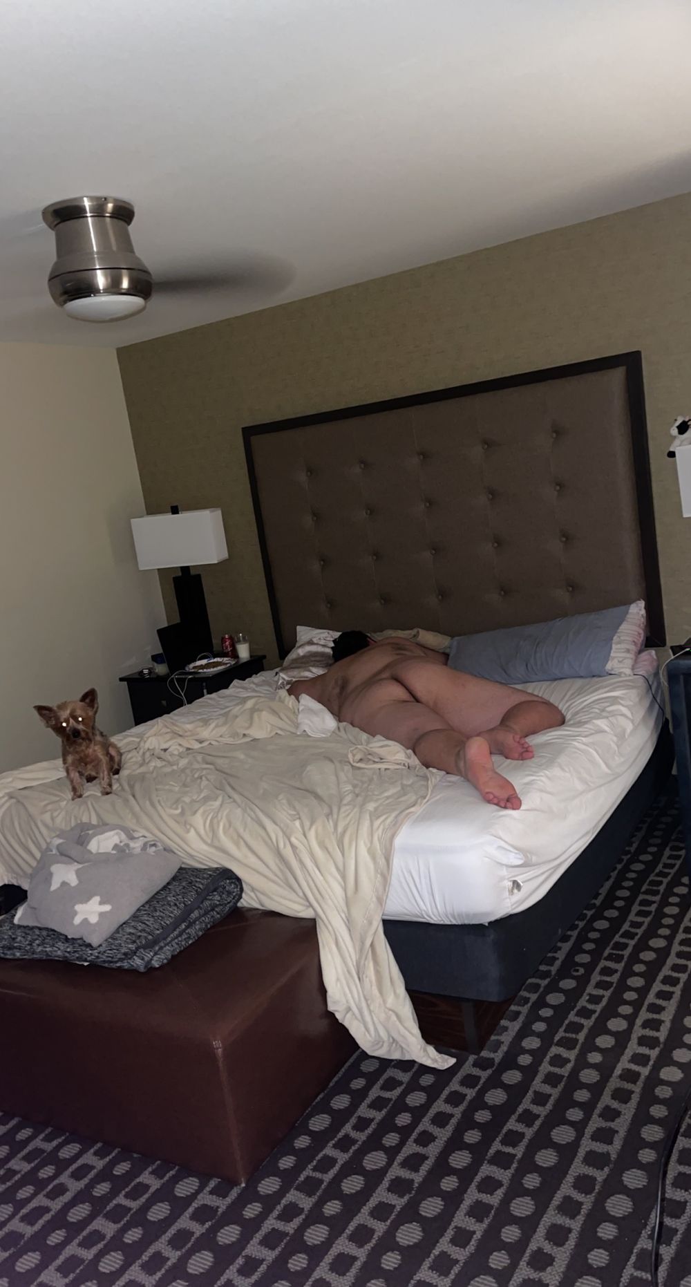 u48839905 OnlyFans profile picture