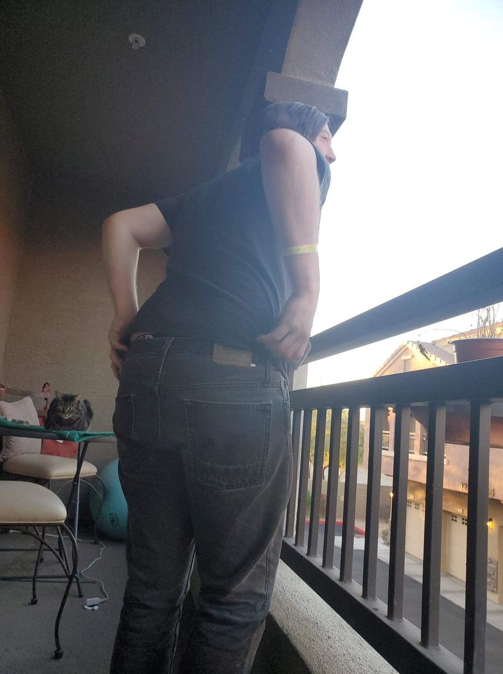 cats-n-butts OnlyFans profile picture