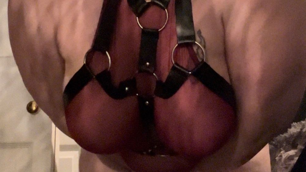 u31710053 OnlyFans profile picture