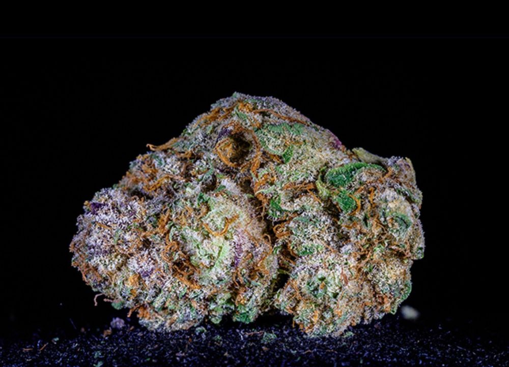 master-chronic OnlyFans profile picture