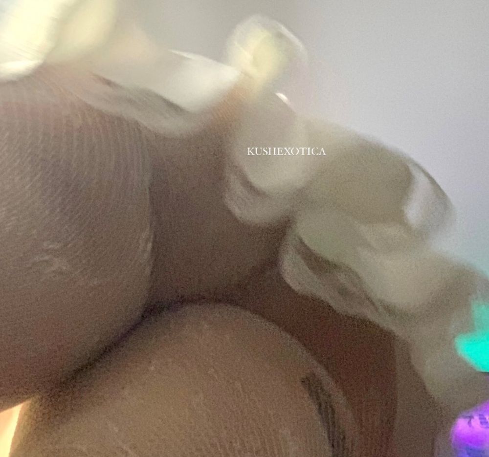 kushexotica OnlyFans profile picture