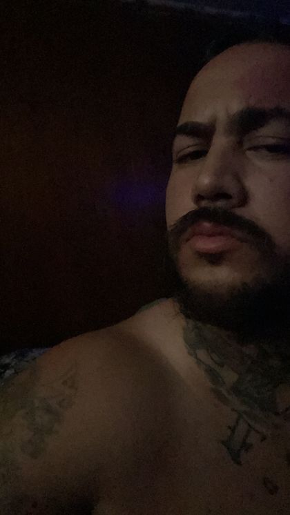 high_panda OnlyFans picture