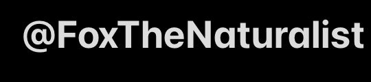 foxthenaturalist OnlyFans profile picture
