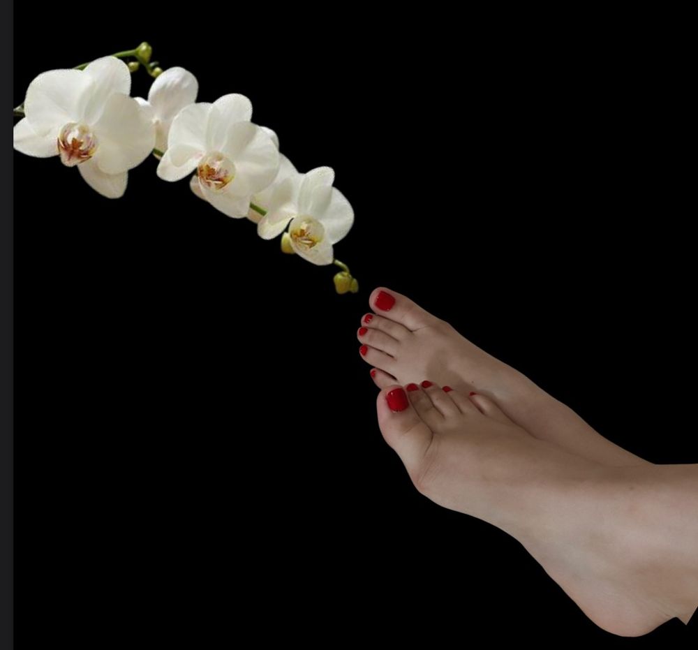 feetofvenus1 OnlyFans profile picture