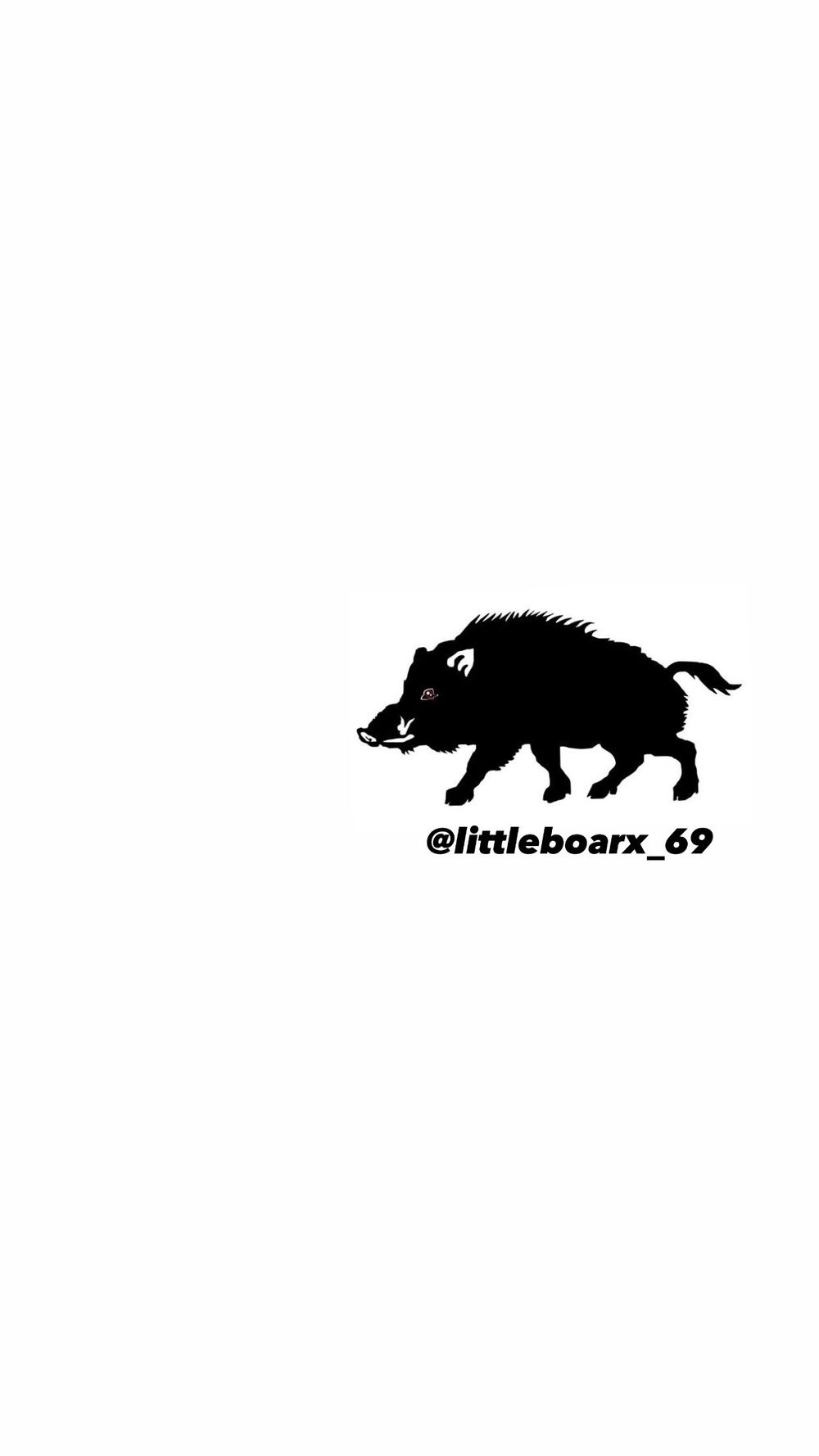 littleboarx_69 OnlyFans profile picture
