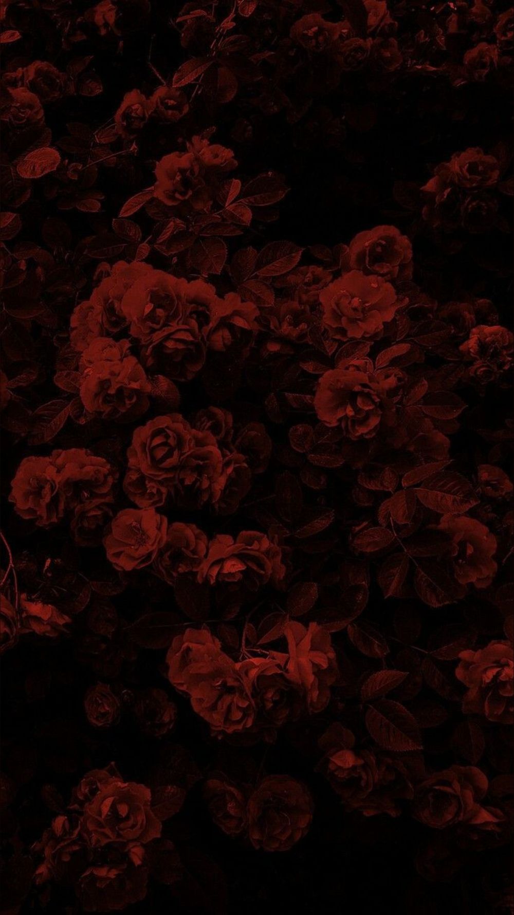 vampi666 OnlyFans profile picture