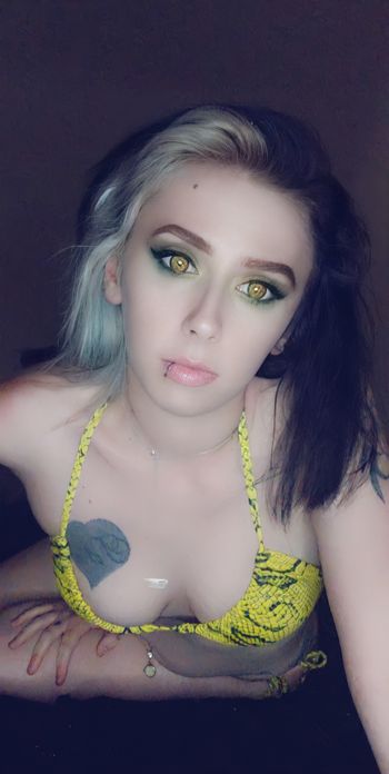 dollfaycefree OnlyFans profile picture
