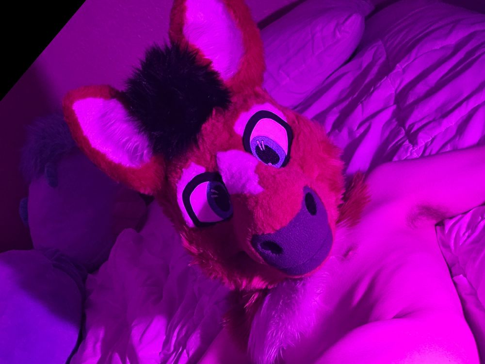 willowhorsead OnlyFans profile picture