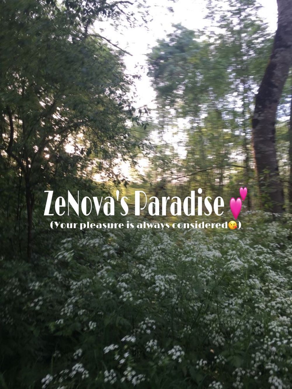 zenova1 OnlyFans profile picture