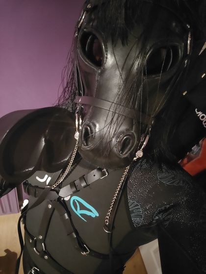 ponyonyx OnlyFans picture