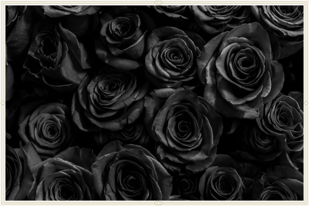 blackrose18 OnlyFans profile picture