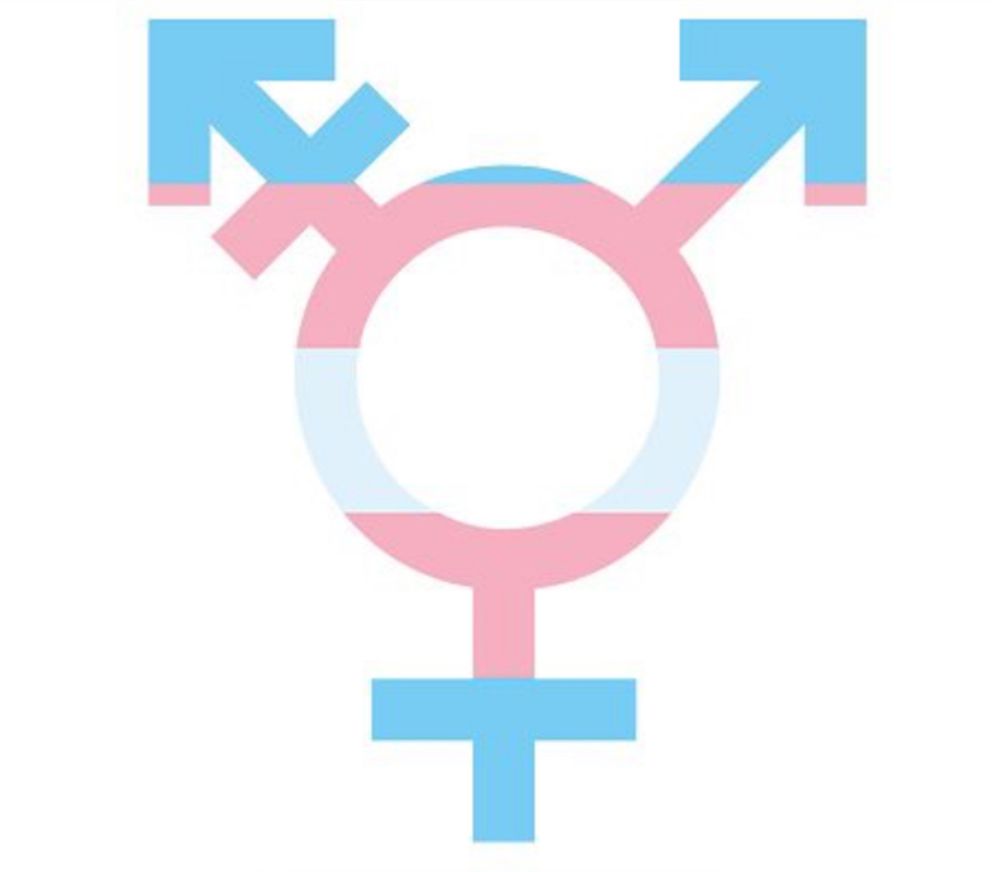 tschloem OnlyFans profile picture