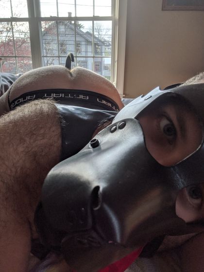 rubberpupteddy OnlyFans picture