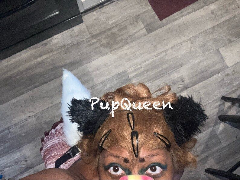 thepupqueen OnlyFans profile picture