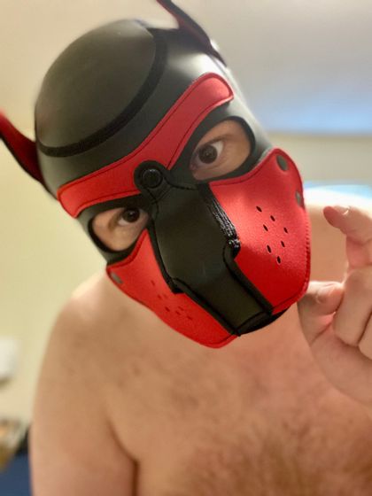 pup_page OnlyFans picture
