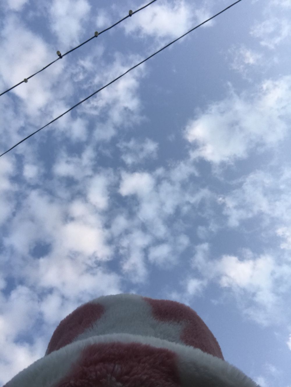 coconut_577 OnlyFans profile picture
