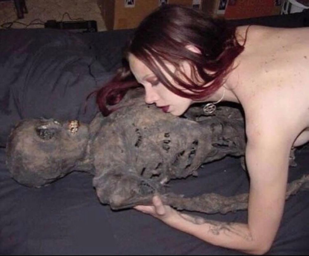 halloweenho3 OnlyFans profile picture