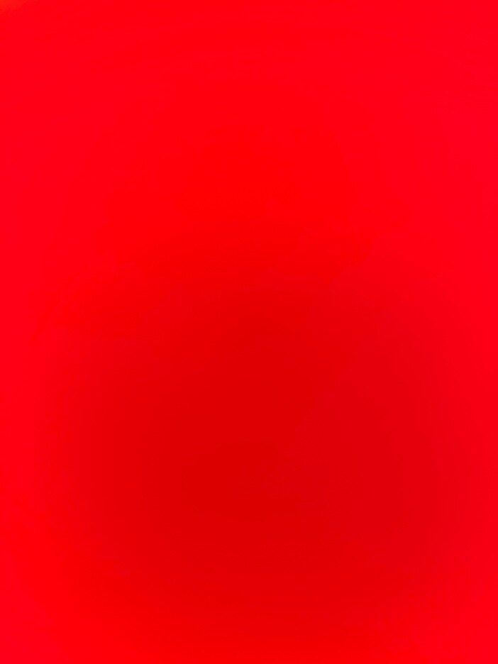 u550656554 OnlyFans profile picture