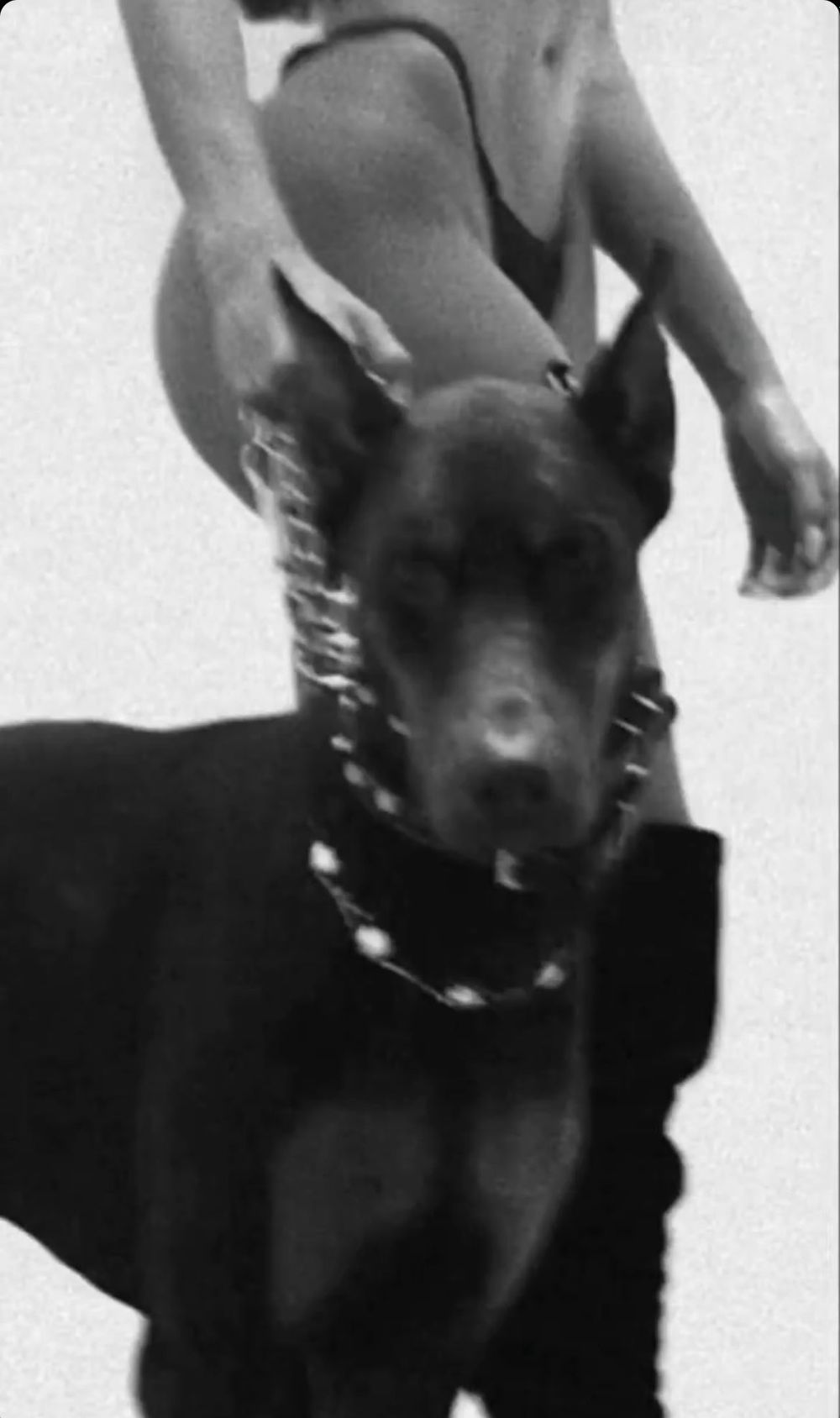 ira.kc OnlyFans profile picture