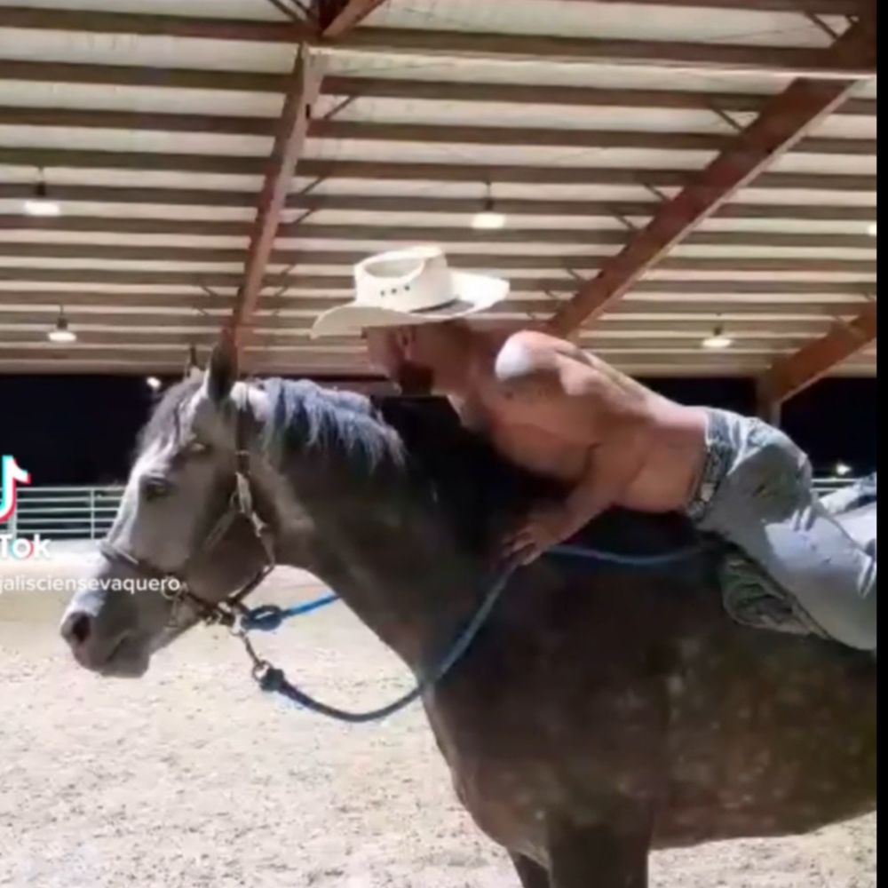 jalisciensevaquero OnlyFans profile picture