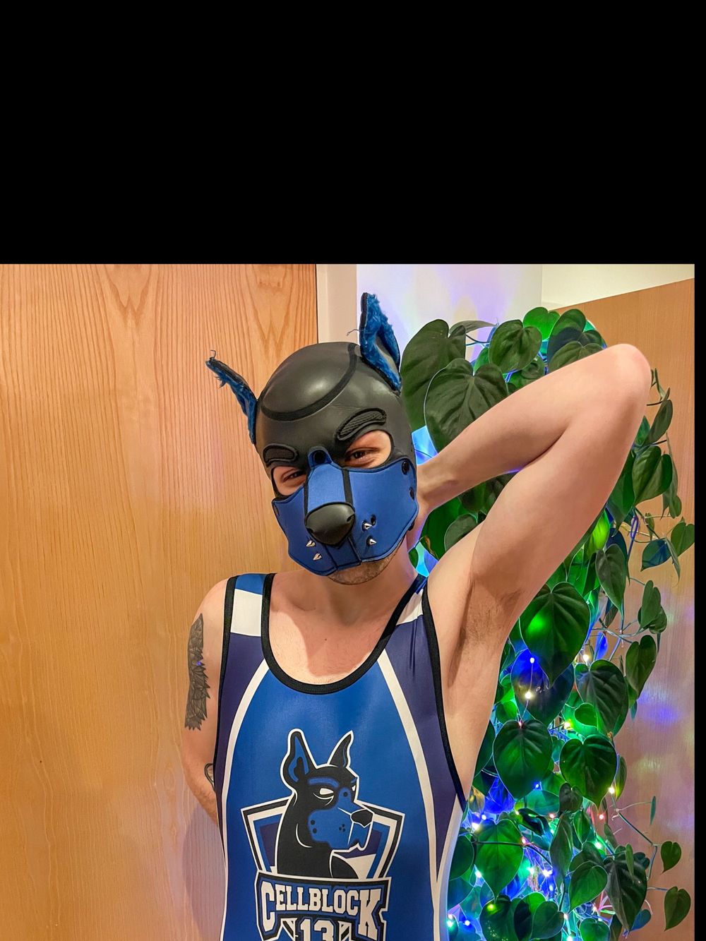 pupshadow1 OnlyFans profile picture