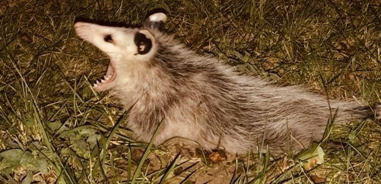 mightaswelldie OnlyFans profile picture
