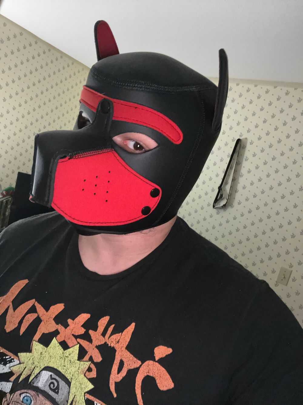 pupsantana OnlyFans profile picture