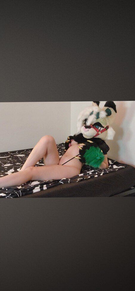 shivafangz OnlyFans profile picture