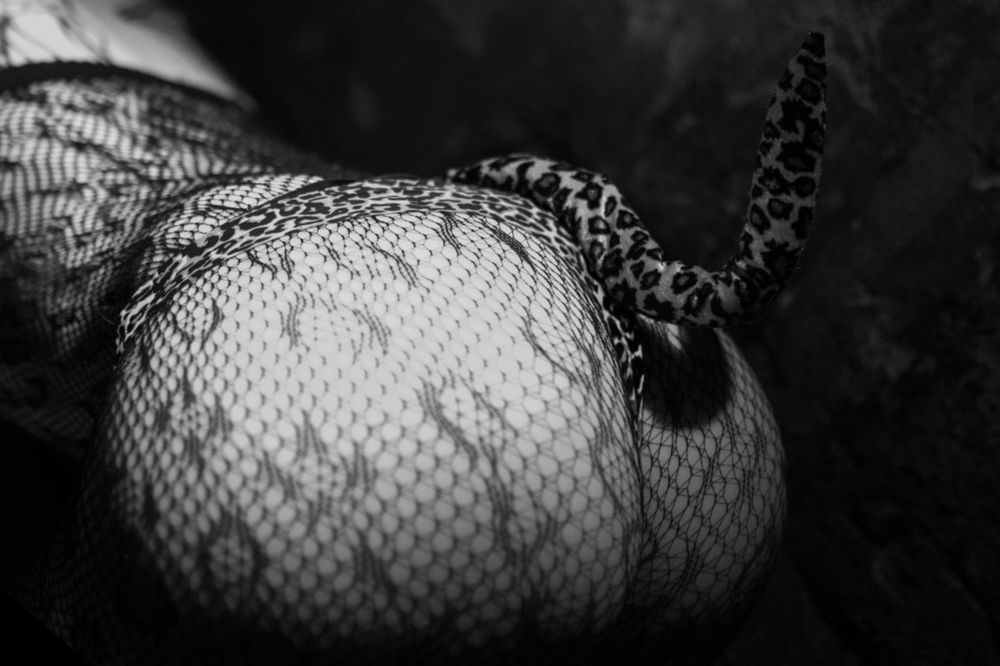 jazzlegrande OnlyFans profile picture
