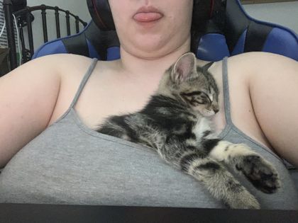 jillybeanplayz OnlyFans picture