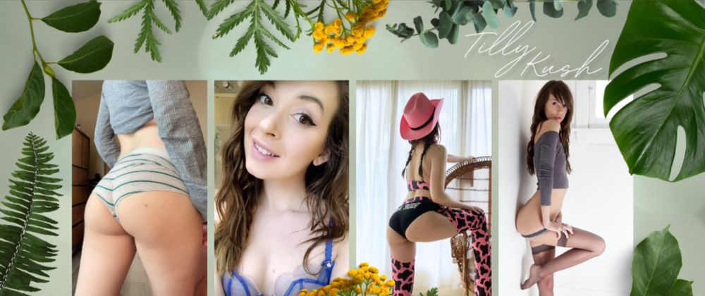 tillykush OnlyFans profile picture