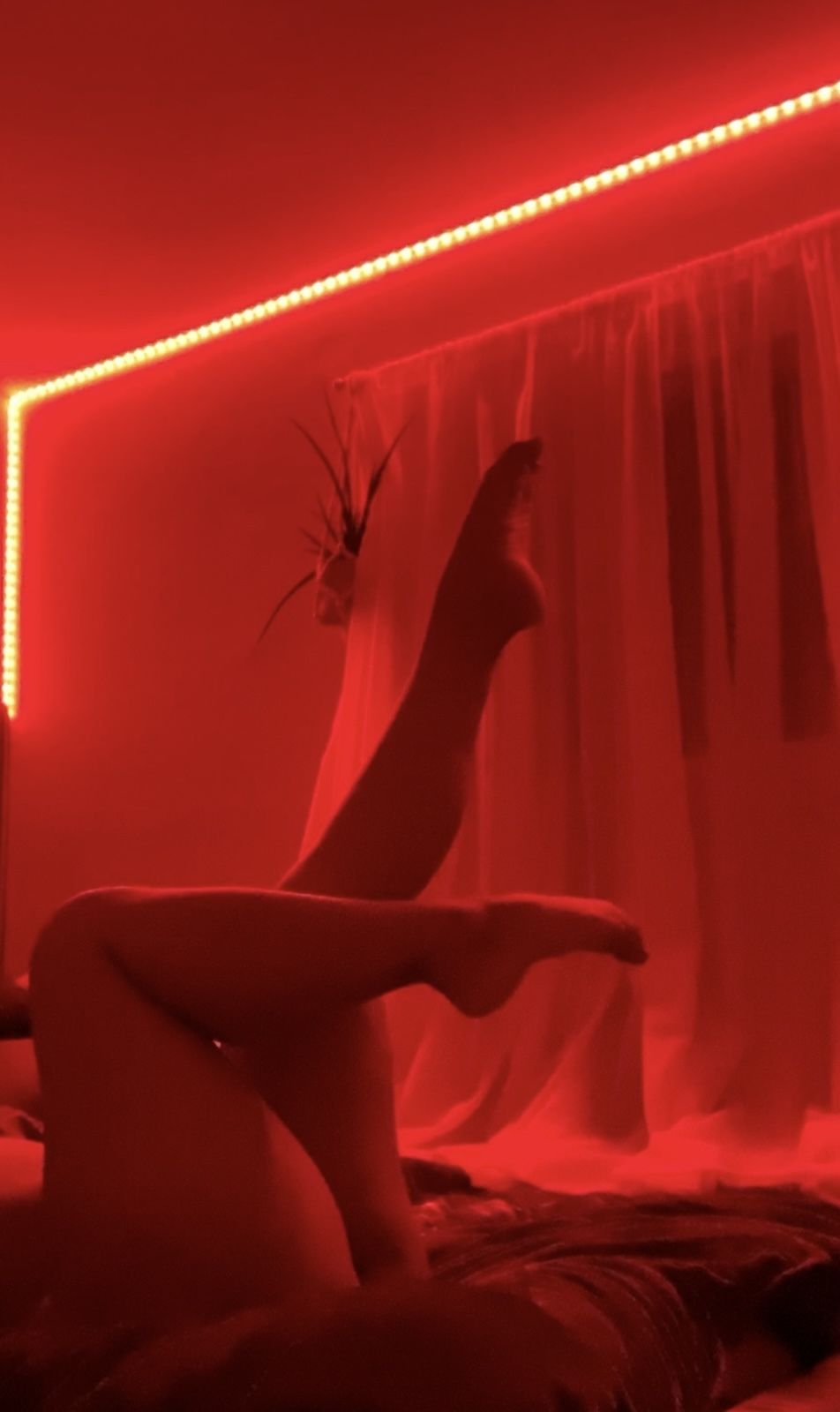 drippinmiel OnlyFans profile picture