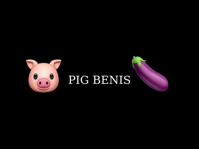 pigbenis_25 OnlyFans profile picture