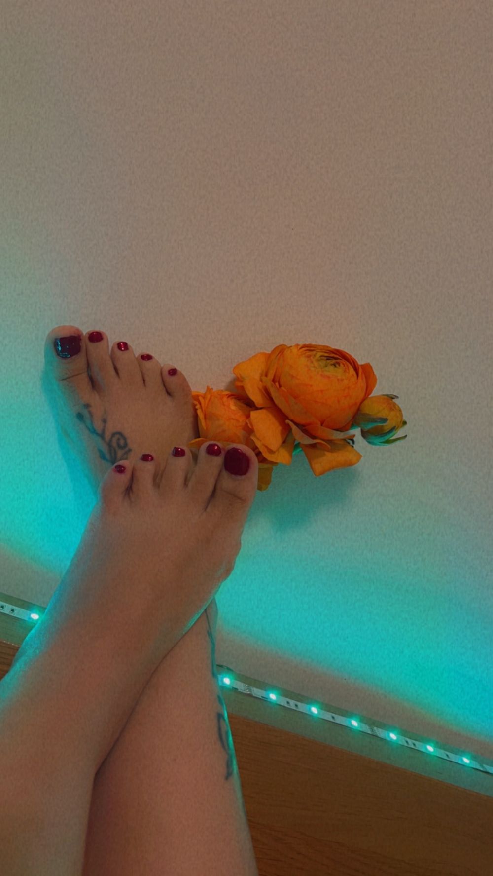 im.leidy.feet OnlyFans profile picture