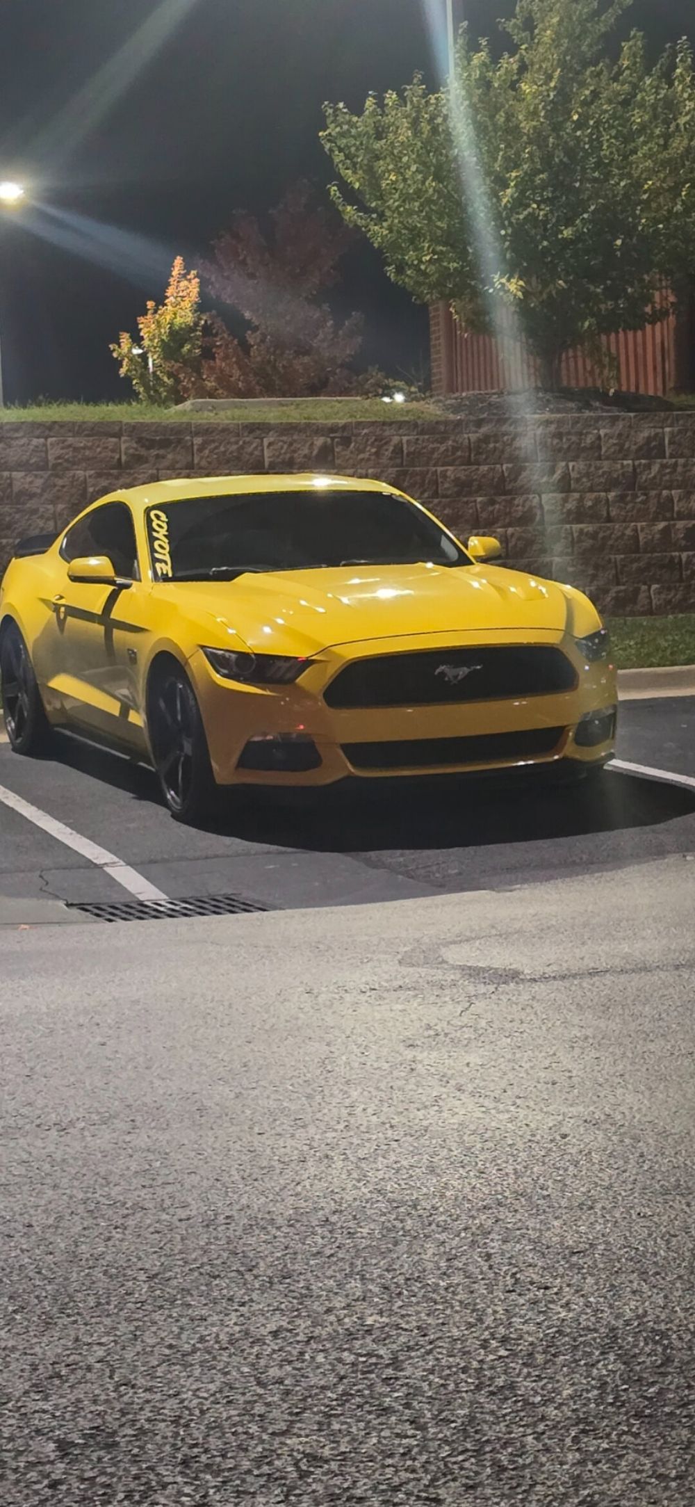 mustang1585 OnlyFans profile picture