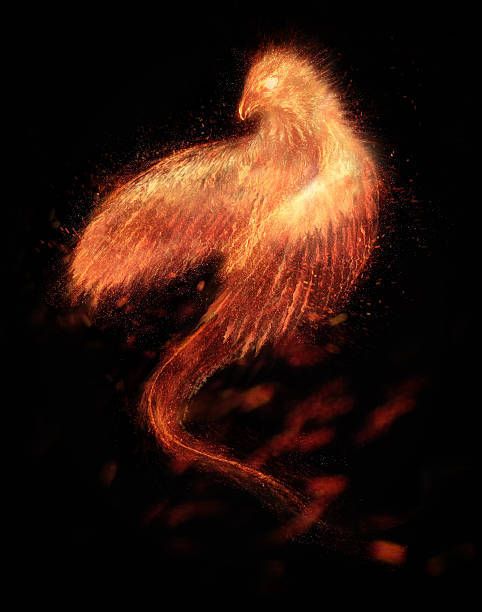 phoenixwrath OnlyFans profile picture