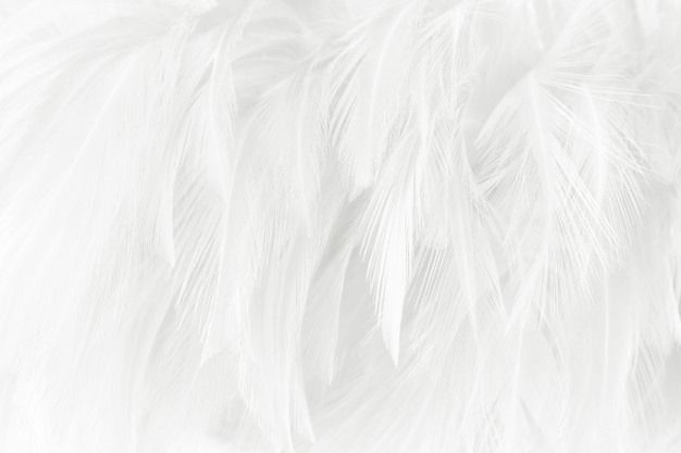 angel.grey021 OnlyFans profile picture