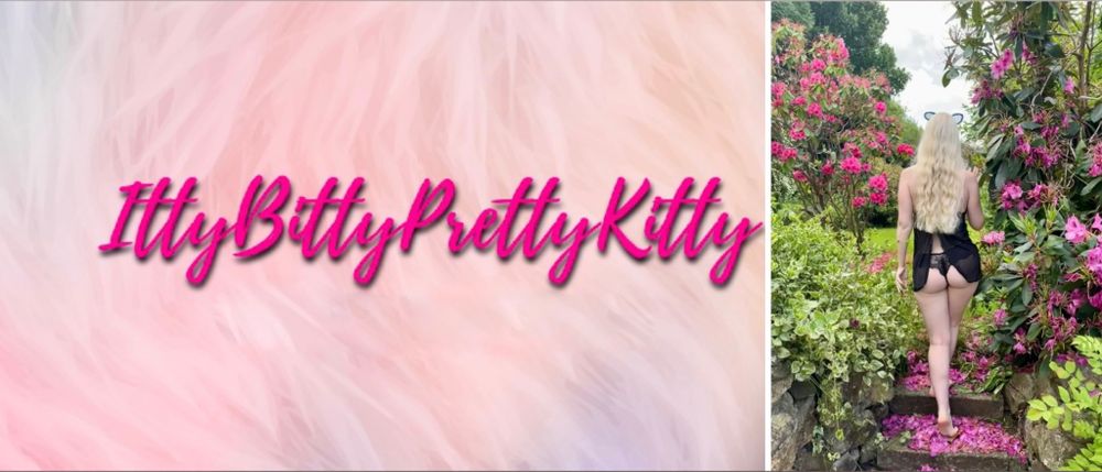 ittybittyprettykittyppv OnlyFans profile picture