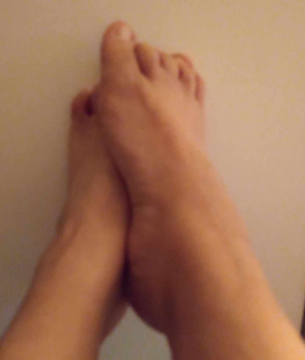 pekinesfantasy OnlyFans profile picture