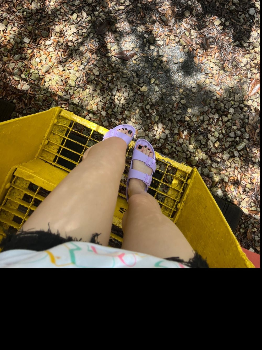 micheleleeann OnlyFans profile picture