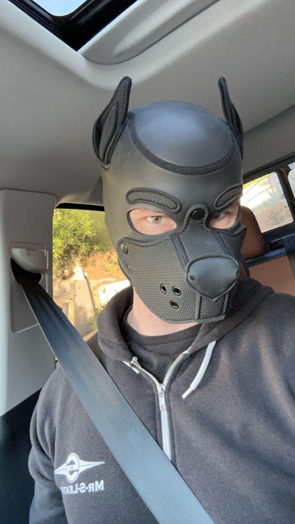 musclewannabe23 OnlyFans profile picture