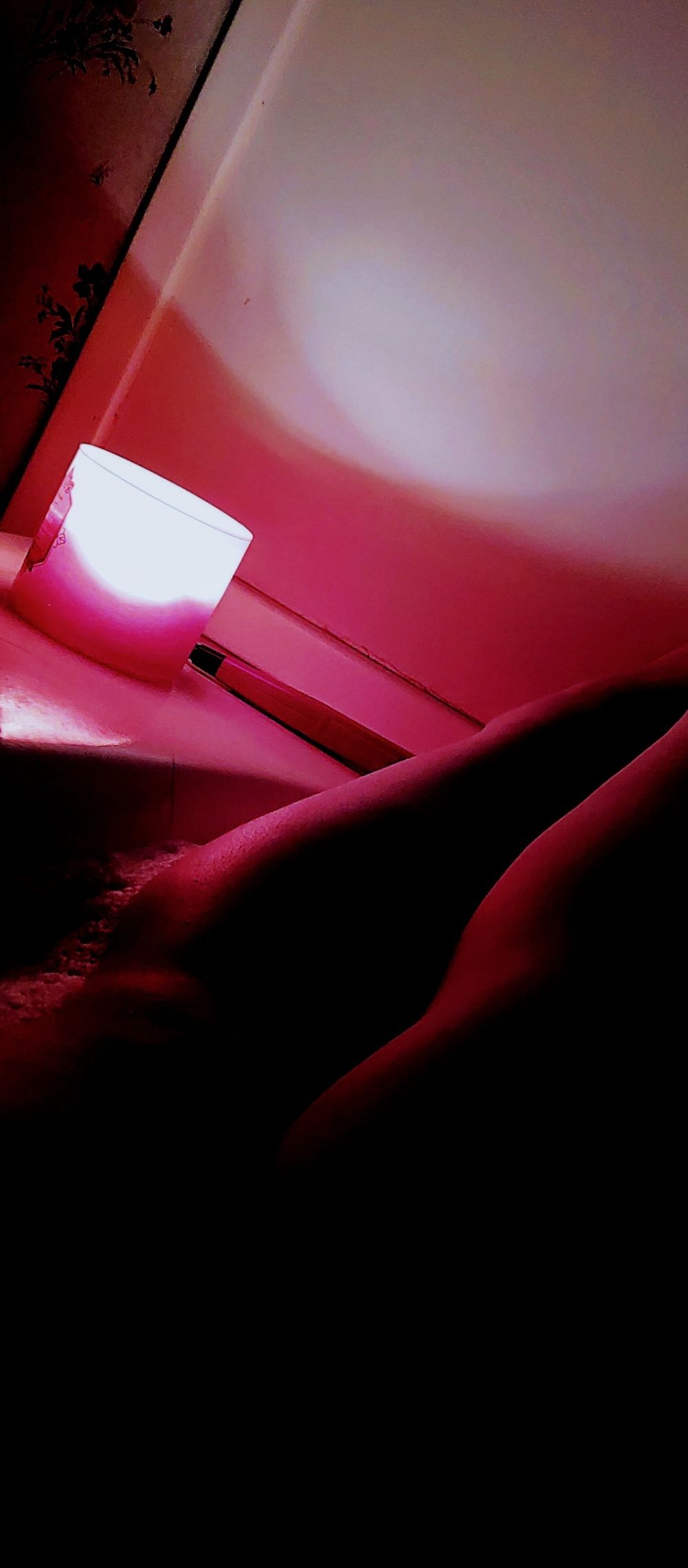 lexigirl710 OnlyFans profile picture